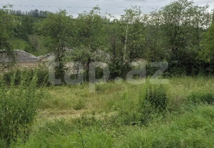 0 m² Obyekt / Ofis , Qusar
