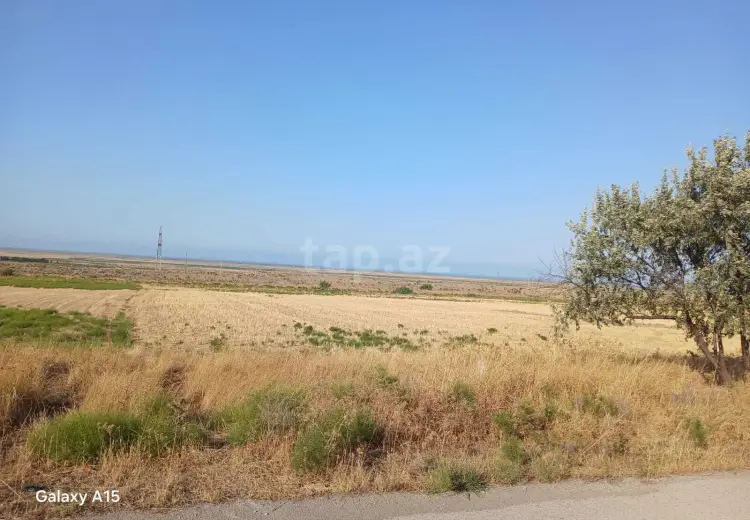 0 m² Obyekt / Ofis , Şabran