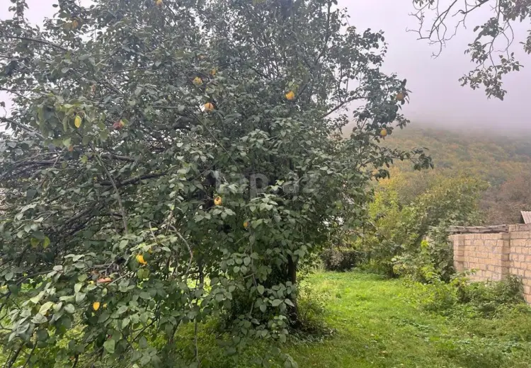 0 m² Obyekt / Ofis , Oğuz