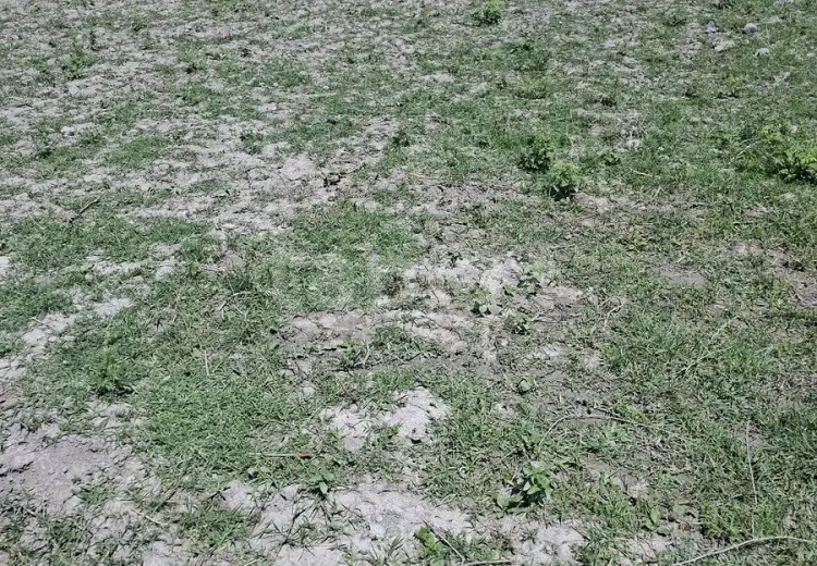 0 m² Obyekt / Ofis , Şəki