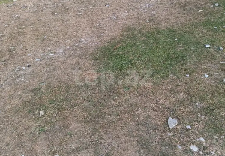0 m² Obyekt / Ofis , Şəki