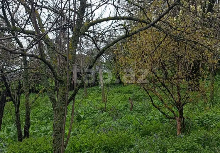 0 m² Obyekt / Ofis , İsmayıllı