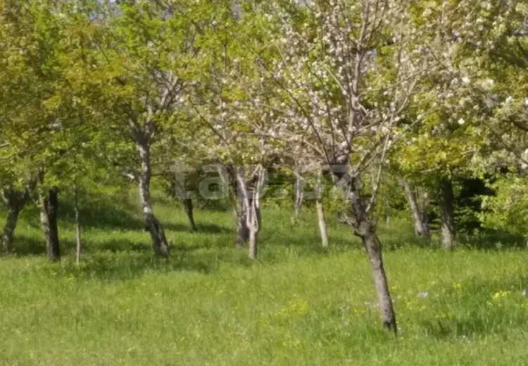 0 m² Obyekt / Ofis , İsmayıllı