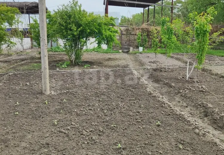 3 otaqlı mənzil , Ucar