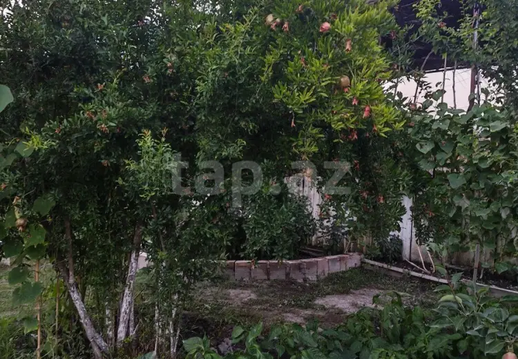 3 otaqlı mənzil , Ucar
