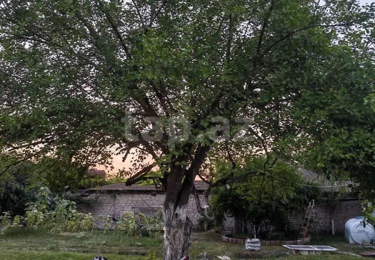 3 otaqlı mənzil , Ucar