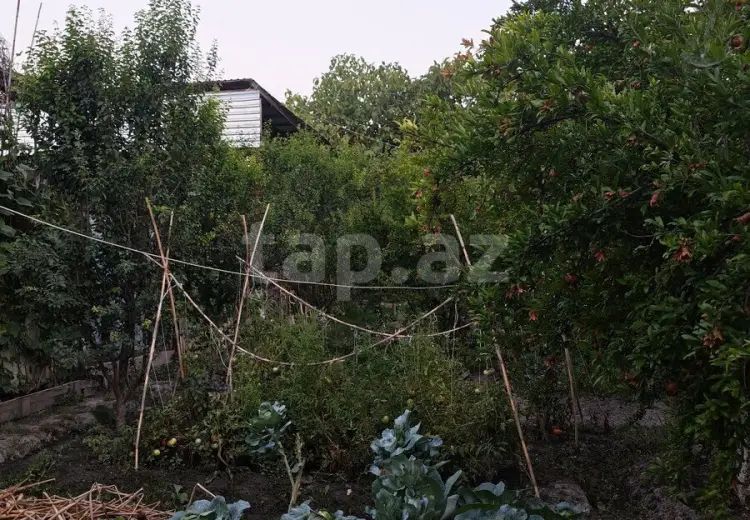3 otaqlı mənzil , Ucar