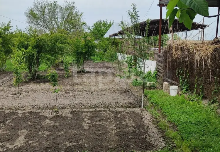 3 otaqlı mənzil , Ucar