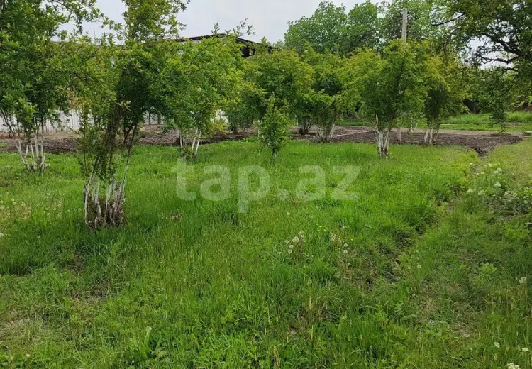 3 otaqlı mənzil , Ucar