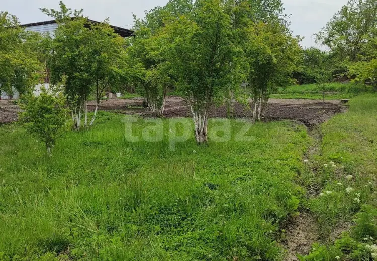 3 otaqlı mənzil , Ucar