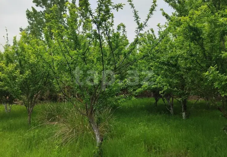 3 otaqlı mənzil , Ucar