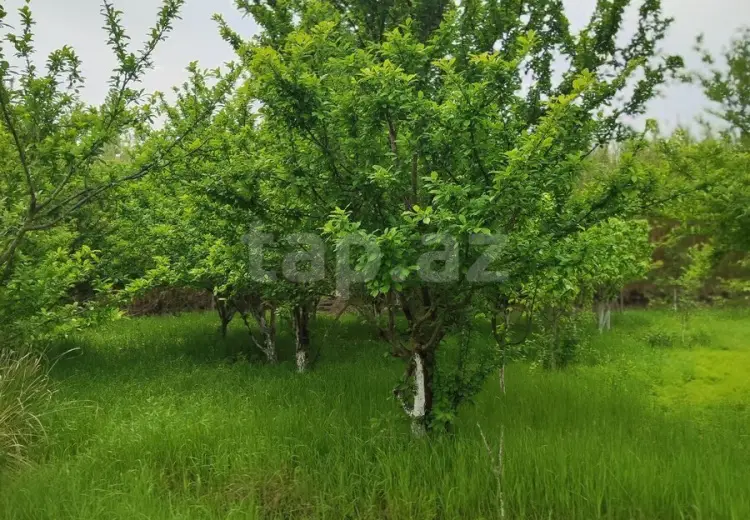 3 otaqlı mənzil , Ucar