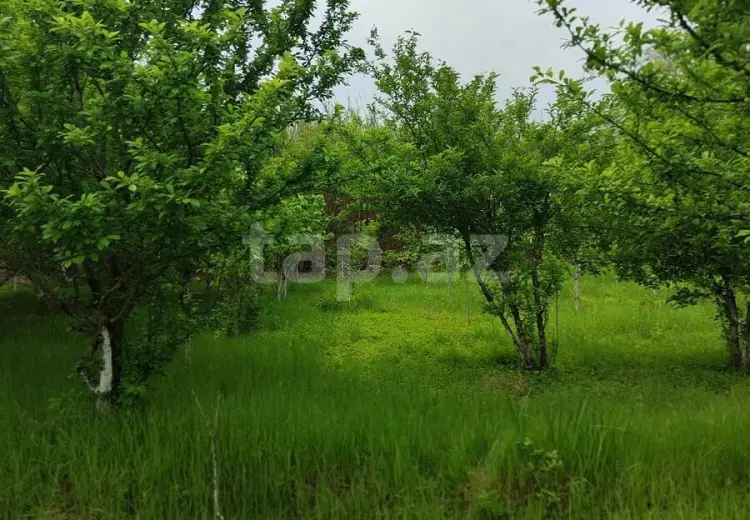 3 otaqlı mənzil , Ucar