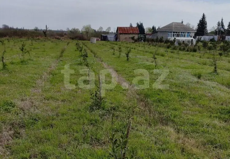 0 m² Obyekt / Ofis , Astara