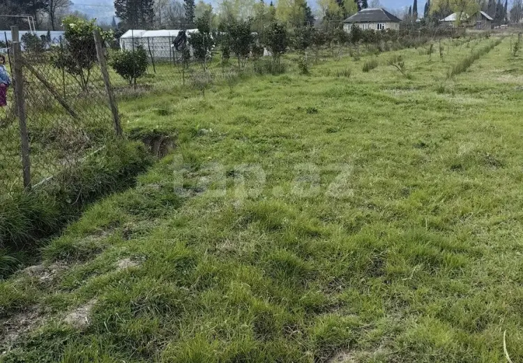 0 m² Obyekt / Ofis , Astara