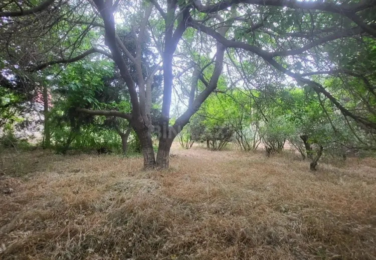 25 sot Torpaq Satılır, Bilgəh qəs., Sabunçu, Bakı