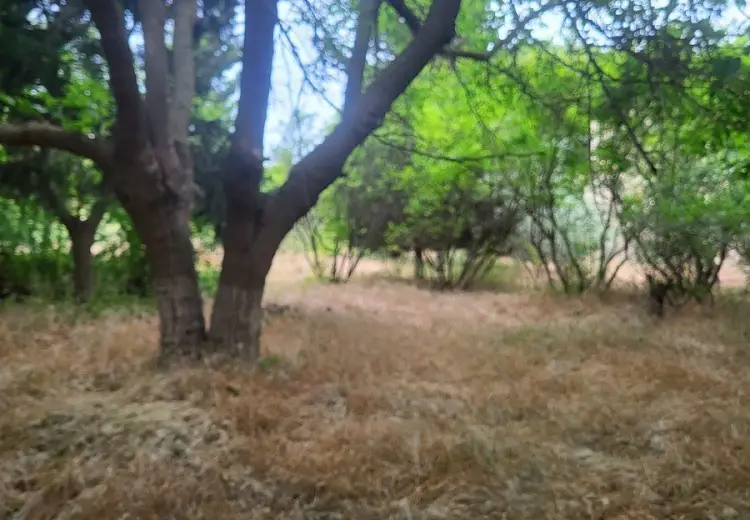 25 sot Torpaq Satılır, Bilgəh qəs., Sabunçu, Bakı