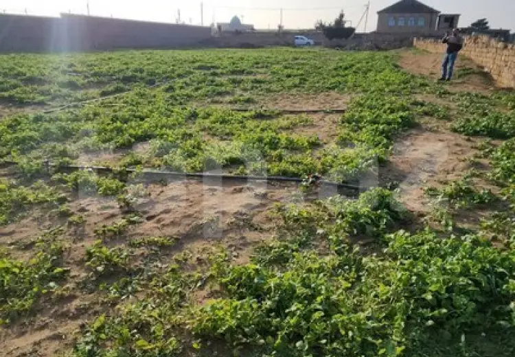 0 m² Obyekt / Ofis , Türkan, Xəzər, Bakı