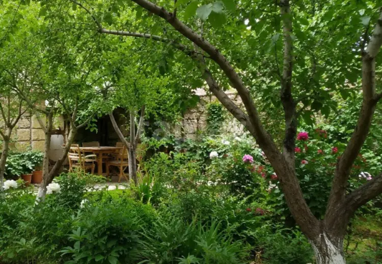0 m² Obyekt / Ofis , Xaçmaz