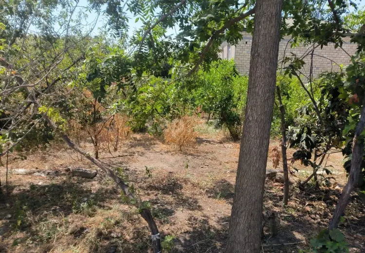 0 m² Obyekt / Ofis , Pirşağı qəs., Sabunçu, Bakı