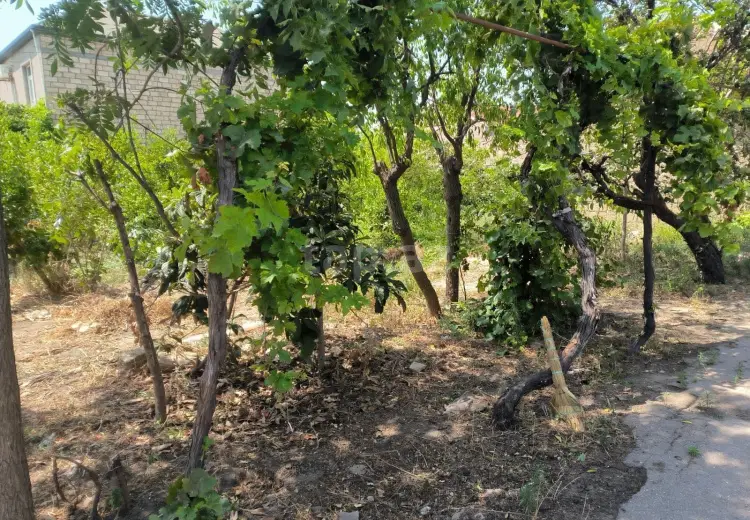0 m² Obyekt / Ofis , Pirşağı qəs., Sabunçu, Bakı