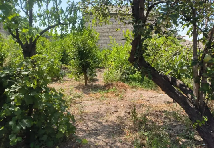 0 m² Obyekt / Ofis , Pirşağı qəs., Sabunçu, Bakı