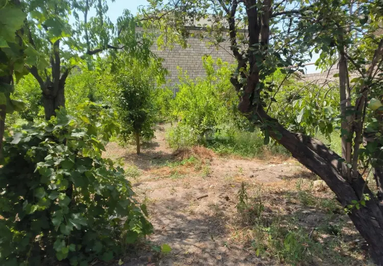 0 m² Obyekt / Ofis , Pirşağı qəs., Sabunçu, Bakı