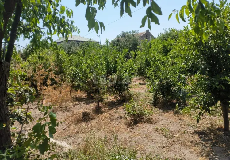0 m² Obyekt / Ofis , Pirşağı qəs., Sabunçu, Bakı