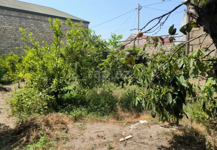 0 m² Obyekt / Ofis , Pirşağı qəs., Sabunçu, Bakı