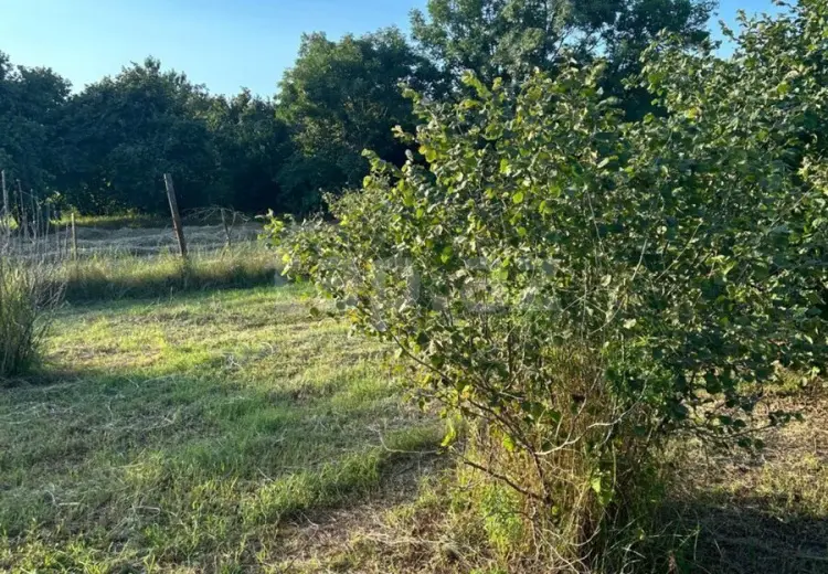 0 m² Obyekt / Ofis , Zaqatala
