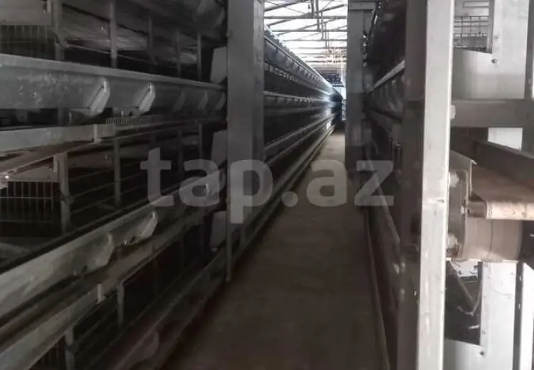 0 m² Obyekt / Ofis , Salyan