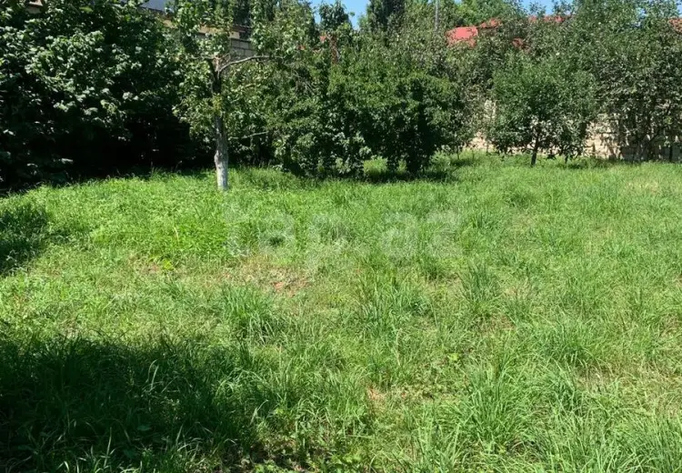 0 m² Obyekt / Ofis , Quba