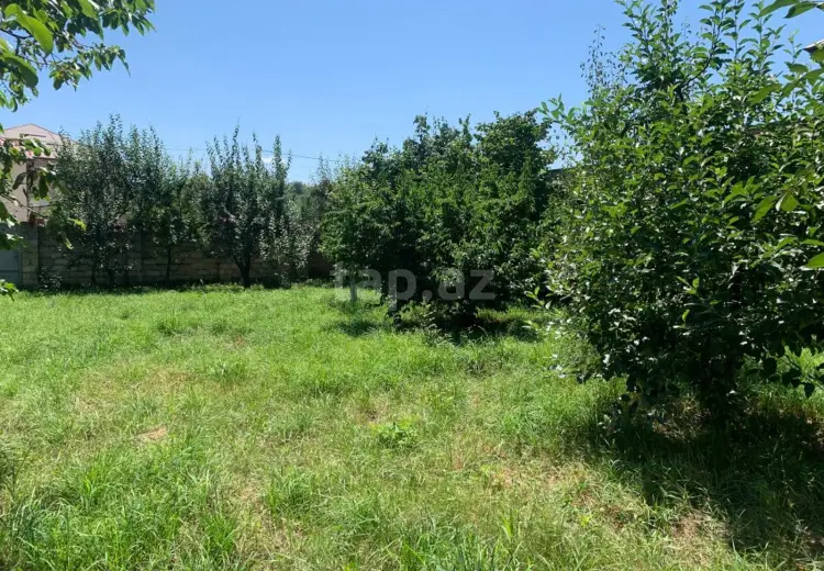 0 m² Obyekt / Ofis , Quba