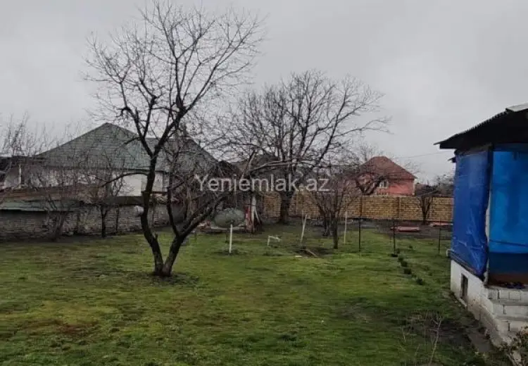 8 sot Torpaq Satılır, Qəbələ
