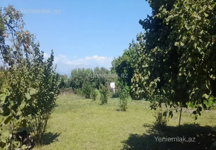 98 sot Torpaq Satılır, Qəbələ