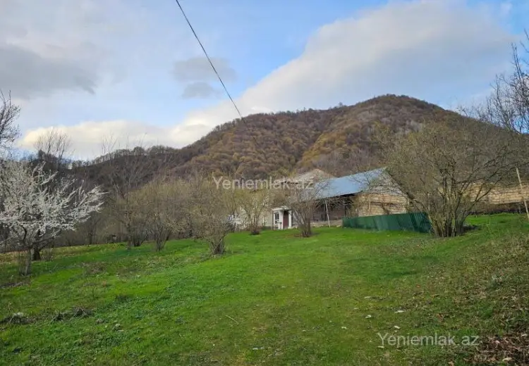 25 sot Torpaq Satılır, Qəbələ