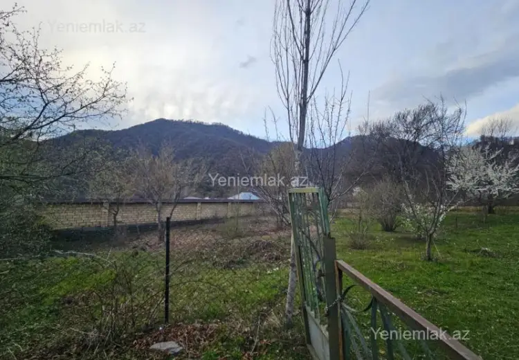 25 sot Torpaq Satılır, Qəbələ