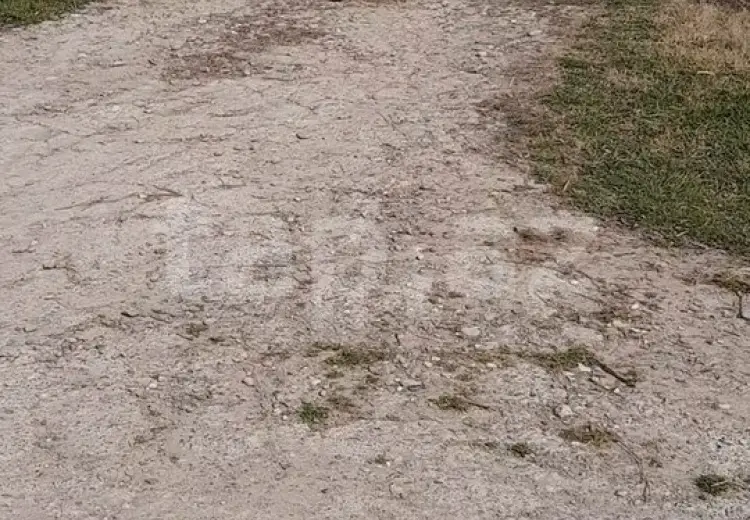 0 m² Obyekt / Ofis , Xaçmaz