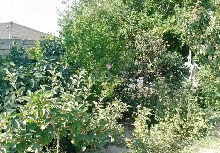 0 m² Obyekt / Ofis , Məştağa qəs., Sabunçu, Bakı
