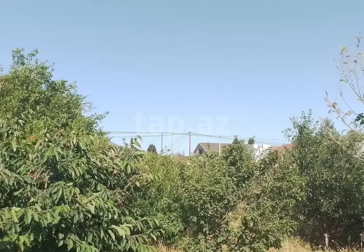 0 m² Obyekt / Ofis , Məştağa qəs., Sabunçu, Bakı