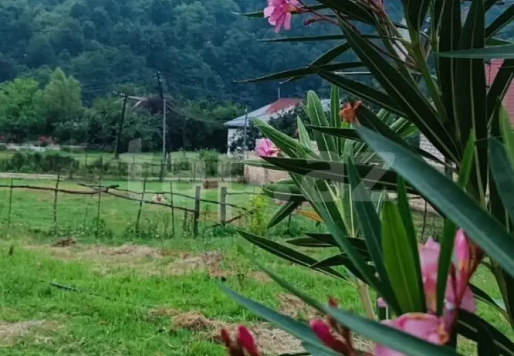 2 otaqlı mənzil Kirayə (günlük), Lerik