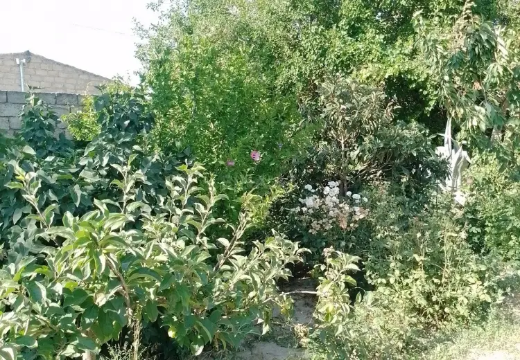 16 sot Torpaq Satılır, Məştağa qəs., Sabunçu, Bakı