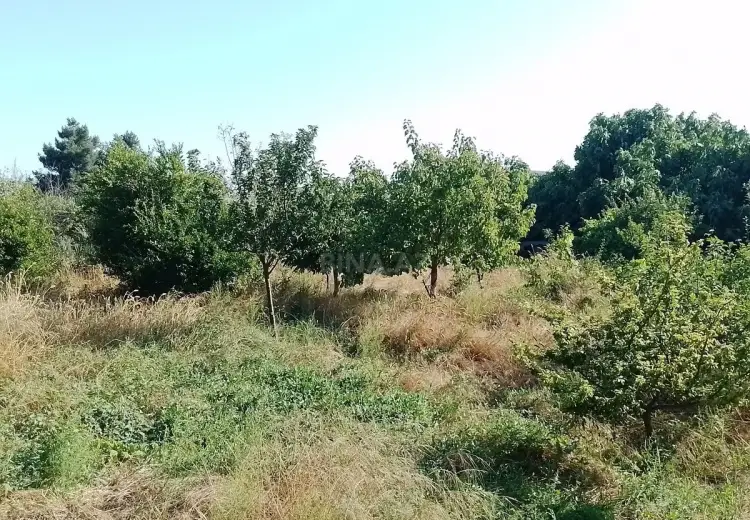 16 sot Torpaq Satılır, Məştağa qəs., Sabunçu, Bakı
