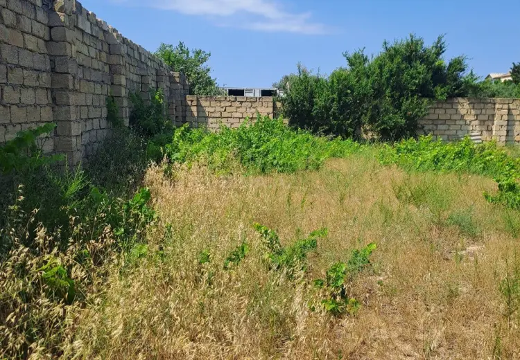 4 sot Torpaq Satılır, Goradil, Abşeron