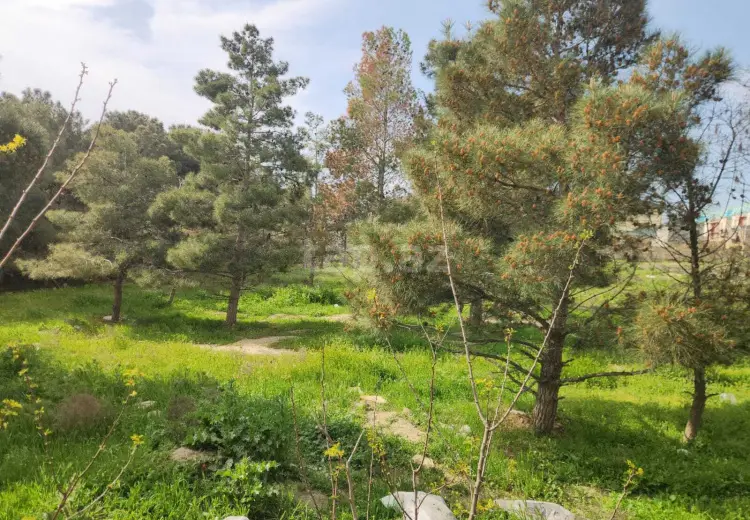 0 m² Obyekt / Ofis , Masazır, Abşeron