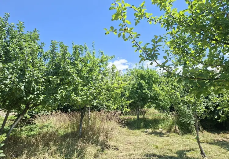 2 otaqlı mənzil Kirayə (günlük), İsmayıllı