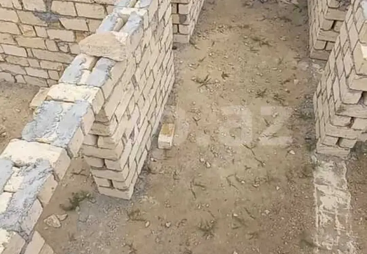 0 m² Obyekt / Ofis , Qobu, Abşeron