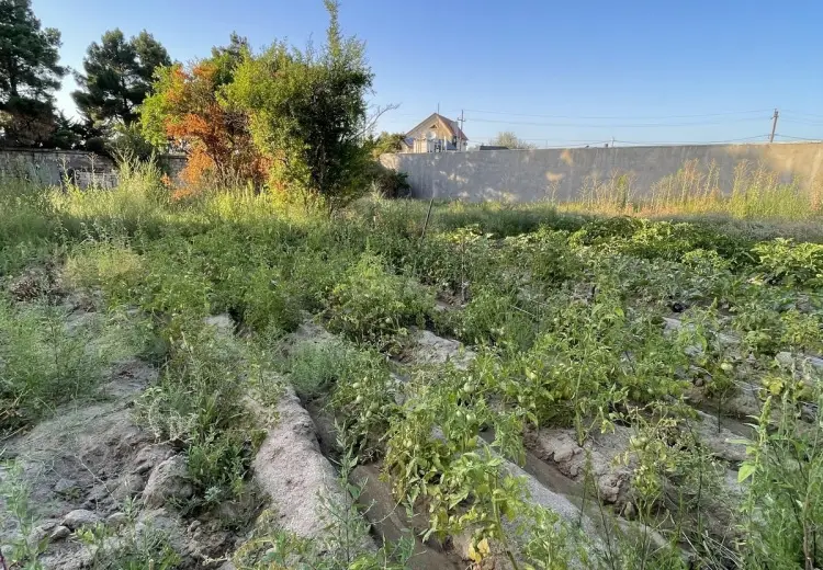 18 sot Torpaq Satılır, Novxanı, Abşeron