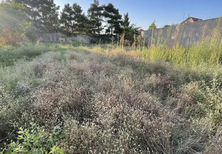 18 sot Torpaq Satılır, Novxanı, Abşeron