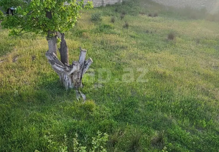 0 m² Obyekt / Ofis , Novxanı, Abşeron